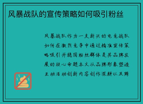 风暴战队的宣传策略如何吸引粉丝